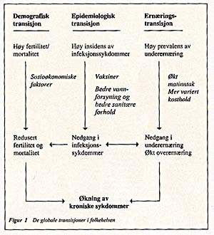 Figur 1    De globale transisjoner i folkehelsen
