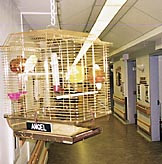 Symbolikken i hospicekulturen kan bli vel konkret! Foto Terje T. Gundersen