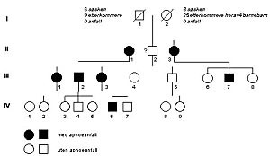  Figur 1    Apn&eacute;anfall i en familie, 1931 &ndash; 99, 20 etterkommere, sju med anfall
