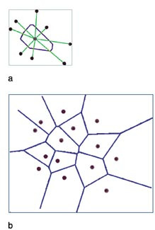 Figur 7    Konstruksjon av Voronoi-diagrammet. Ett enkelt Voronoi-polygon (a) er definert ved normalene til de linjer som&hellip;
