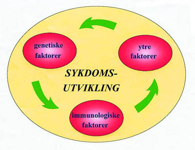 Figur 1  Det er sterke indikasjoner p&aring; at Sj&ouml;grens syndrom er en multifaktoriell sykdom. Dette har ogs&aring; vanskeliggjort&hellip;