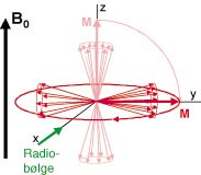 Figur 5  Effekten av en radiob&oslash;lge (90˚ puls) p&aring; protonenes magnetfelt og nettomagnetismen. F&oslash;r applikasjon av radiob&oslash;lgen,&hellip;