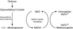  Figur 2    Methemoglobin reduseres tilbake til hemoglobin via NADH og enzymet NADH-avhengig metHb-reduktase (1)