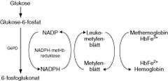  Figur 3    Methemoglobin reduseres ogs&aring; i noen grad tilbake til hemoglobin via NADPH og enzymet NADPH-avhengig metHb&hellip;