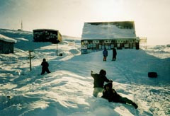 Glade barn i vintersol. Alle foto Hans Christian Florian