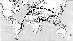 Figur 1   Dei to pandemiske b&oslash;lgjer for&aring;rsaka av subgruppe III-klonar av N meningitidis. Kartet syner o&dagger;g det klassiske&hellip;