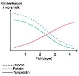 Figur 1   Skjematisk fremstilling av konsentrasjonen av morfin samt petidin og den aktive petidinmetabolitten norpetidin i&hellip;