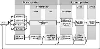  Figur 1    Skjematisk fremstilling av farmakokinetiske og farmakodynamiske faktorer som f&oslash;rer til at en gitt dose gir ulik&hellip;