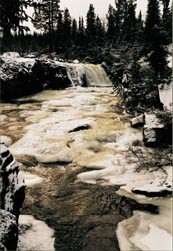 Foto &Oslash;ivind Larsen