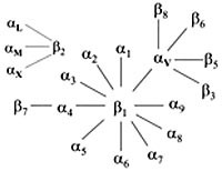 Figur 4    Organiseringen av integriner i subfamilier. Alle integriner i en subfamilie har samme &beta; -enhet