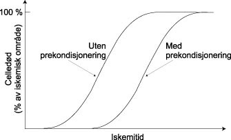  Figur 2    Skjematisk illustrasjon som viser at prekondisjonering forsinker utvikling av celled&oslash;d (infarkt) under iskemi&hellip;