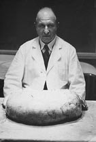  Figur 2    Saenger med en monstr&oslash;s ovarialcyste. Foto privat