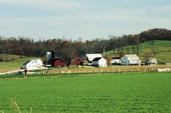 Figur 1    Amishg&aring;rdsbruk, Copyright AmishBuggy, PA, USA, gjengitt med tillatelse