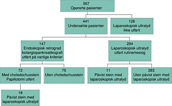 Figur 2    Resultater av laparoskopisk ultrasonografi