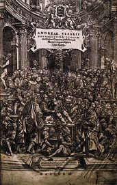 Alle foto &Oslash;ivind Larsen Figur 1