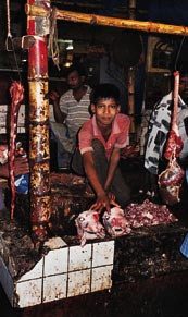 Smalehovud i Dhaka, som p&aring; Voss, men hygieneforskriftene er kanskje noe ulike?