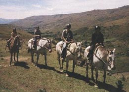 Familien Norheim til hest i ca. 2000 meters h&oslash;yde i s&oslash;r&oslash;yas alpine landskap