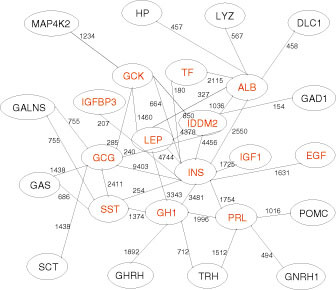 Figur 4  Gen (nabo)-nettverk fra Medline for insulin (INS)-genet. Naboene til genet opptrer som noder med kanter som er&hellip;