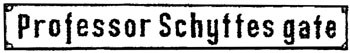 Figur 2   Erik Gerhard Schytte har sin egen gate i Bod&oslash;