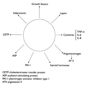 Figur 2   Substances released from adipose tissue