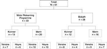 Figur 2   Pasienter inkludert i studien, stratifisert i forhold til kj&oslash;nn og hemisf&aelig;relesjon og randomisert i to grupper,&hellip;