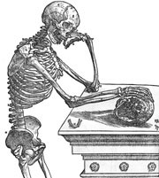 Figur 3   Skjelettfremstilling hos Vesalius 1543 (4). Foto Universitetsbiblioteket, Oslo