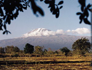 Kilimanjaro, sett fra Frihetens Herberge. Fra Moshi, der bildet er tatt, til toppen, er det en h&oslash;ydeforskjell p&aring; 5 000 m