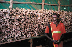 Samling r&oslash;rknokler fra flere tusen massakrerte i Kigali