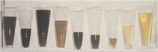 Figur 3   Urin fra pasient med akutt intermitterende porfyri etter &oslash;kende tid i lys. Bilde tatt i 1955 av turnuskandidat&hellip;