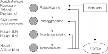 Figur 2   Virkning av medikamenter p&aring; tromboseprosessen (2). Fire ulike trinn kan p&aring;virkes av medikamenter. UF: ufraksjonert&hellip;