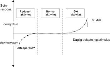 Figur 2  En hypotetisk kurve for hvordan beinresponsen kan v&aelig;re for normal fysisk aktivitet samt for redusert og &oslash;kt fysisk&hellip;