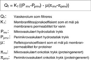 Figur 4  Starlings hypotese for kapill&aelig;rfiltrasjon