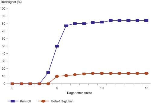 Figur 5   Virkningen av beta-1,3-glukan p&aring; d&oslash;delighet av sm&aring;laks som ble smittet med Vibrio salmonicida. To grupper fisk (&agrave;&hellip;