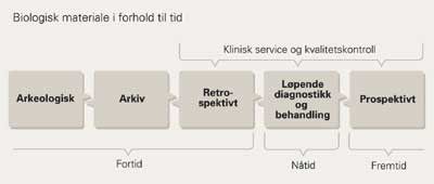 Unders&oslash;kelser av biologisk materiale satt inn i et tidsperspektiv