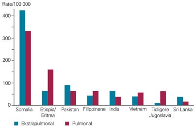 Insidens av tuberkulose i Norge 1996&thinsp;&ndash;&thinsp;2000 etter f&oslash;deland og hovedtype