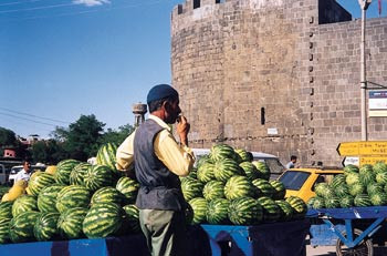 Diyarbakir er kjent for sine vannmeloner &ndash; dyrket ved Tigris og naturlig gj&oslash;dslet av duene. Foto B.O. Hoftvedt