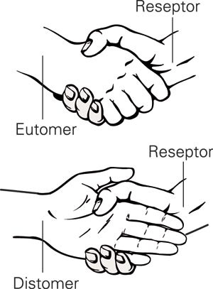 Enantiomere former med ulike farmakologiske egenskaper