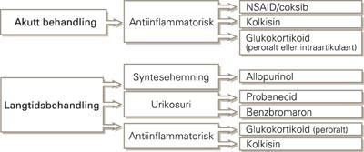 Algoritme for behandlingsvalg ved urinsyregikt