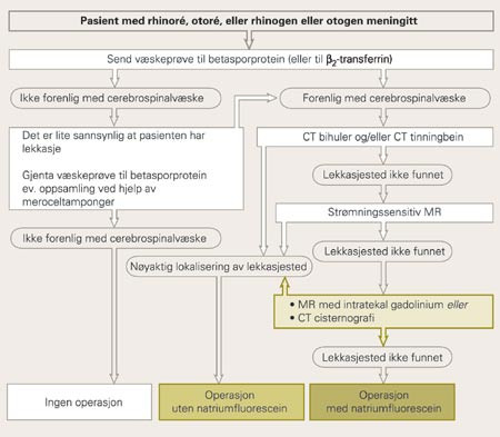 Flytdiagram som viser diagnostiske og terapeutiske prosedyrer. Gr&oslash;nn betyr invasiv diagnostikk eller terapi