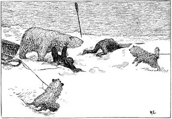 Figur 2  N&aring; f&aring;r De nok skynde Dem, hvis det ikke skal bli for sent! (3)