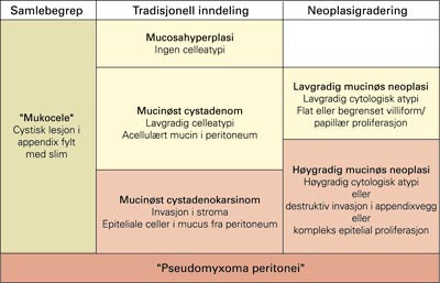 Mucin&oslash;se lesjoner i appendix