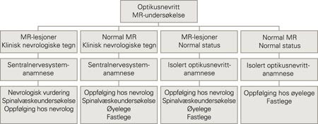 Utredning og oppf&oslash;lging av pasienter med optikusnevritt