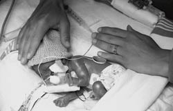 Foto Creative/SCANPIX