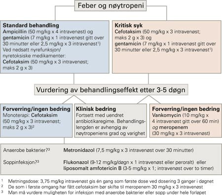 Flytdiagram over forslag til behandling ved feber hos n&oslash;ytropene barn