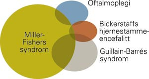Miller-Fishers syndrom og overlappende syndromer (6)