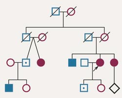 Utsnitt av en norsk familie med cerebrale kavern&oslash;se malformasjoner. j / d Affisert ?// med sentralnerv&oslash;se utfall og&hellip;