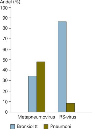 Andel av barn med humant metapneumovirus og respiratorisk syncytialt virus som hadde bronkiolitt eller pneumoni ved St&hellip;