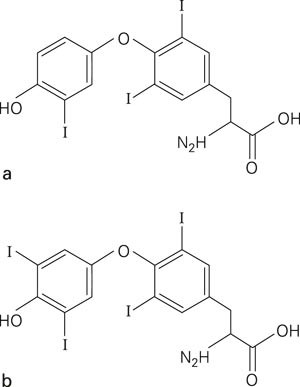 Formler for thyreoideahormonene a) T₃ (3, 3&acute;, 5&acute;- trijodtyronin) og b) T₄ (3, 5, 3&acute;, 5&acute;- tetrajodtyronin). Legg merke til&hellip;