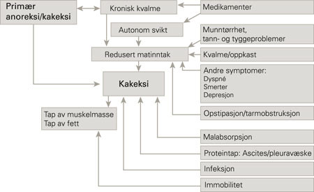 Vanlige &aring;rsaker til anoreksi og kakeksi hos kreftpasienter (1)