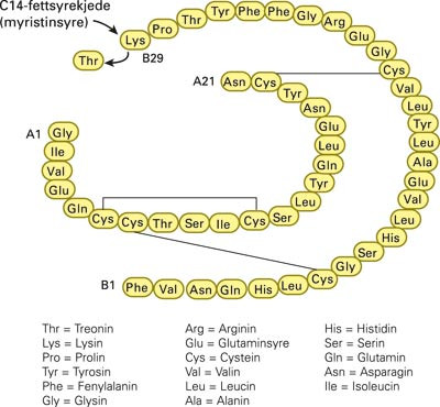 Molekyl&aelig;r struktur av detemirinsulin (Levemir)